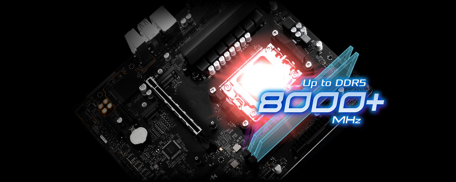 DDR5 XMP & EXPO Support